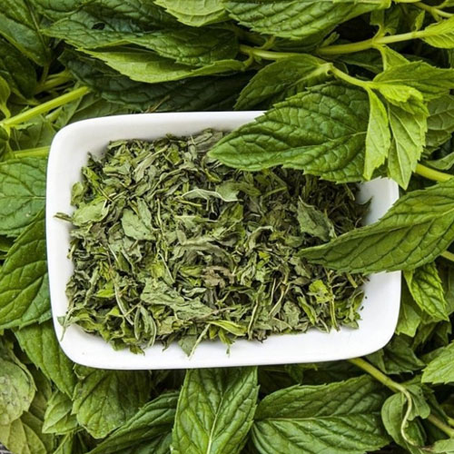 Mint Leaves